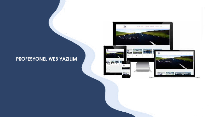 Profesyonel Web Yazılım